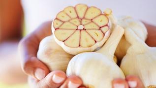 Vcut direncinin benzini besinler! Doal antibiyotik, doal ifa