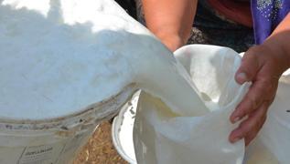 Kahvalt sofralarnda, brekte, poaada her yerde kullanlyor! Bbrekleri diyalize srklyor