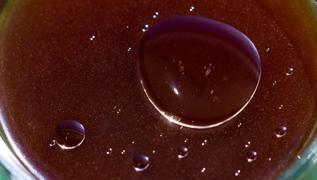 ltihapl ksrn antibiyotik etkili besini: Saraolu altn iziyor