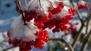 Geleneksel tbbn ar kesicisi: Ta ve kum sklyor, bbrekler rahatlyor