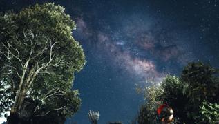 Masumiyetin sembol 3 bur: Onlardan ktlk beklenmez