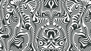 Zeka testi: Resimde hangi hayvan var? 10 saniyede sadece 100 kiiden 20'si biliyor