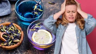 Ba arsna hangi ay iyi gelir? yiletiren bit aylar nelerdir?