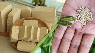 Her eyde var! Meer bbrek ta yapyormu! En riskli alerjen