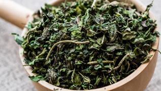 Kan tertemiz yapan bitki: Dikenlerinde ifa var, demir depolar couyor