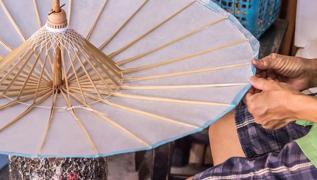 Krk emsiyeyi pe atmayn! ieklerin yaam alann salyor