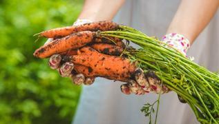 Renk deitiren alkanlk: Her gn havu tketirseniz ne olur?