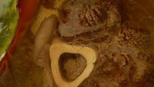 Sibirya so�u�unda bile i� �s�tan s�per �orba: V�cudu pil gibi �arj ediyor