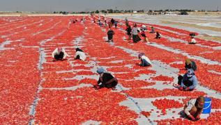 Kahvalt�n�n vazge�ilmezi �ifa de�il zehirmi�: Gaz, �i�kinlik ve haz�ms�zl�k yap�yor