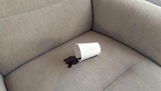 Berjerdeki kahve lekesini ��karmak bu kadar kolay! G�ne� g�rm�� kar gibi eriyor