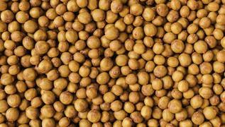 �nfluenzaya kar�� en etkili meyve: V�cuttan iltihab� s�k�p at�yor, antioksidan deposu