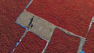 Do�al antioksidan deposu: �ster �i� ister pi�mi� t�ket! Kalp krizi riskini azalt�yor