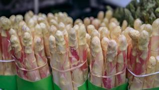 Sofralar�n asil sebzesi: Kalbin dire�i, damarlar�n kurtar�c�s�