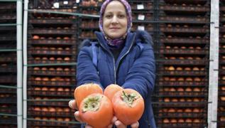 Hibe ald�, so�uk hava deposu kurdu! K�y�n meyvesi ziyan olmuyor