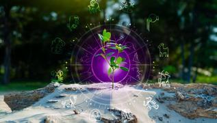 Deve kini olan bur�lar: Onlar asla unutmuyorlar