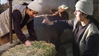 2 inekle ba�lad�! Devletten destek ald�, i�leri b�y�tt�: �imdi 160 hayvan� var