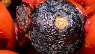 Buzdolab�nda zehirleyen 5 sebze: Tad� de�i�miyor, zehirliyor!