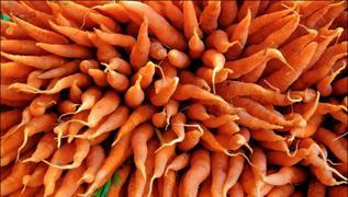 Beta karoten cevheri... Bu sebze ten rengini de�i�tiriyor