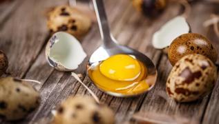 San�ld��� gibi zararl� de�il: Yumurta sar�s� ara�t�r�ld�