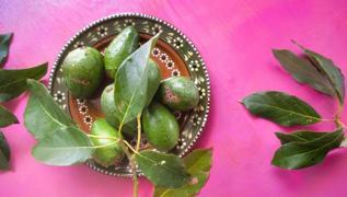 Yapra�� meyvesi gibi �ifa! ��te o meyve