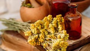 Yan�k ve yaralar�n bir numaral� bitkisi! Yol kenar�nda dahi yeti�iyor