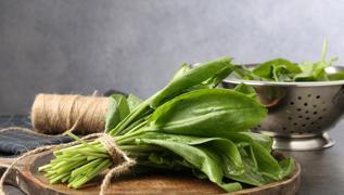 Ye�illikler haftalarca taze kal�yor! Nemden uzak tutun