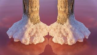 Ki�ilik testi: Resimde ilk ne g�rd�n? �rdek g�rd�yseniz bunlar� duymaya haz�r olun