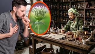 Do�al �ks�r�k �urubu me�er bu baharatm��! �bn-i Sina �neriyor! Akci�eri temizliyor