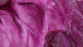 Me�er as�l kolajen takviyesi o sebzeymi�! Do�an�n en g��l� sebzesi, her evde var!