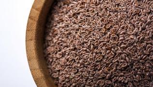 Zay�flama i�nelerine rakip ot! Karn� ve beli inceltiyor