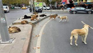 ��i�leri harekete ge�ti! 3 belediye ba�kan� i�in i�lem ba�lat�ld� 