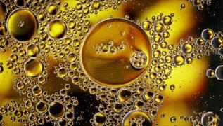 Kalbe �zel ya�: Omega 3 deste�i sa�l�yor