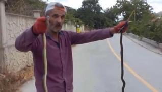 <p>Akta kynde yaayan ve zaman zaman ylanlar elleriyle yakalamasyla tannan Sinan Baaran, bu 