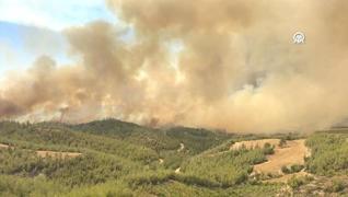 <p>Adana'nn merkez ukurova ilesinde kan orman yangn havadan ve karadan mdahaleyle kontrol al