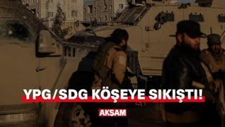 <p>SDG Ayn-el Arab ve Kam��l�'ya s�k��m�� durumda. Suriye ordusu  ise ilerlemeyi s�rd�r�yor.</p><p>S