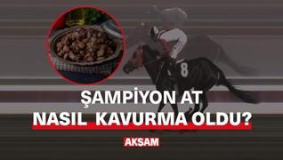 <p>�ampiyon �ngiliz at� kavurma yap�l�p ikram edildi. Evet, bu  kadar da olmaz dedirten olay Mersin'