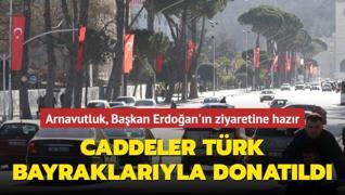 Arnavutluk, Başkan Erdoğan'ın ziyaretine hazır... Caddeler Türk bayraklarıyla donatıldı