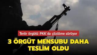 Terör örgütü PKK'da çözülme sürüyor... 3 örgüt mensubu daha teslim oldu