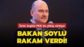 Bakan Soylu rakam verdi! PKK'nın yurt içindeki silahlı terörist kadrosu çöküyor
