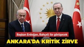 Bakan Erdoan, MHP Lideri Devlet Baheli ile grecek