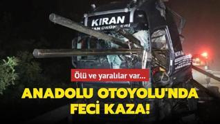 Anadolu Otoyolu'nda feci kaza! l ve yarallar var...