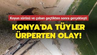 Konya'da tyler rperten olay: Koyun srs ve oban getikten yarm saat sonra gerekleti