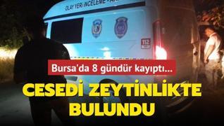 Bursa'da 8 gndr kaypt! Cesedi zeytinlikte bulundu