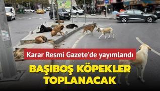 Sokak hayvanlar ile ilgili yasa Resmi Gazete'de
