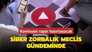 Genler arasndaki siber zorbalk Meclis gndeminde