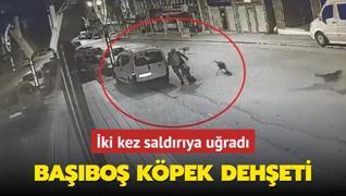 Ordu'da babo kpek deheti: ki kez saldrya urad