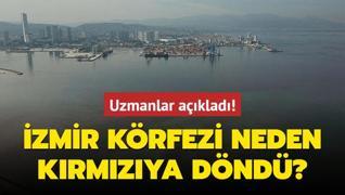 Uzmanlar aklad! zmir Krfezi neden krmzya dnd?