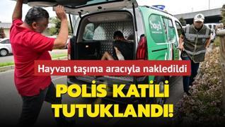 p poeti giydirildi, hayvan tama aracyla nakledildi... Polis katili tutukland!