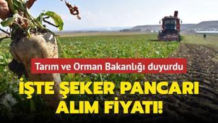 Tarm ve Orman Bakanl duyurdu... te eker pancar alm fiyat!