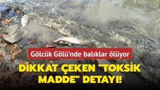 Glck Gl'nde balklar lyor... Raporda toksik madde detay!